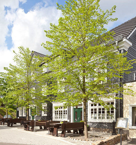 Zu Den Drei Linden Hotel Wermelskirchen Buitenkant foto